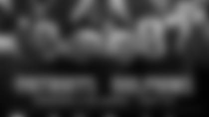 Grafica dolphins2.jpg