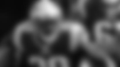 1000x380_2016_legarrette_blount_blue_1.jpg