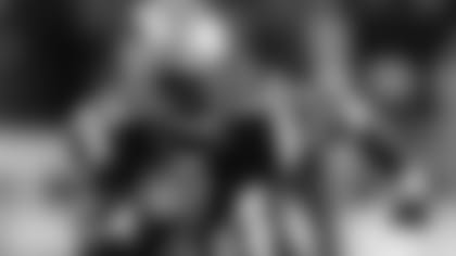 320-branch-preview-eagles.jpg