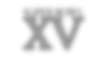 super-bowl-logo-xv