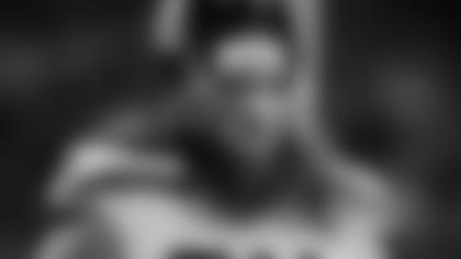 roos-thumb-main-site