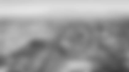 Las Vegas Stadium - 0808