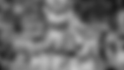 hl-dolphins-thumb-pw2