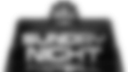 SNF_Logo.jpg