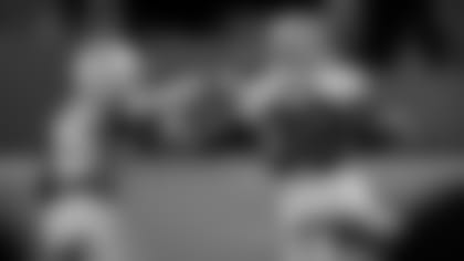 brown-end-of-game-dolphins