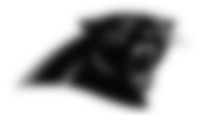 pick_logos_0009_panthers-mark-web.jpg