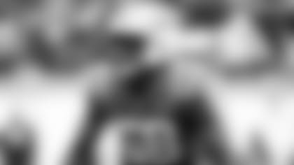 lee-release-thumb-61721