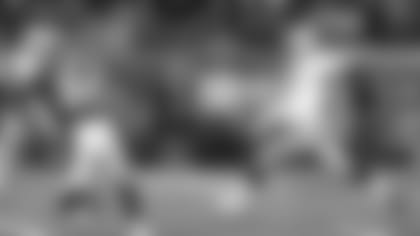 P Shane Lechler boots a long punt.