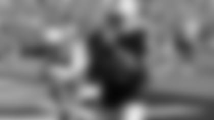 WR Darrius Heyward-Bey keeps his feet in bounds for the touchdown.