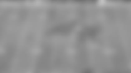 15_WhatYouMissed-5Ngata_instory.jpg
