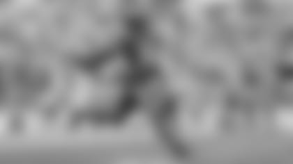 Baltimore Ravens Safety Chuck Clark (36)