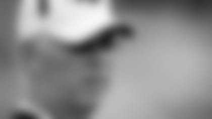 e3e10cc2b2ae48bba879840f9b3ee513.jpg