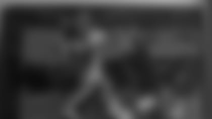 12_Caw_StokleyPainting_instory.jpg