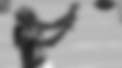 17_PerrimanUpdate_news.jpg