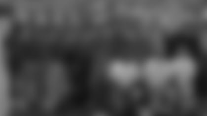 29_BattleOfBirds_news.jpg