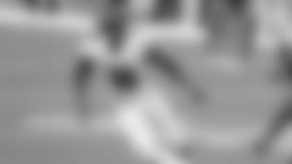 Falcons WR Julio Jones