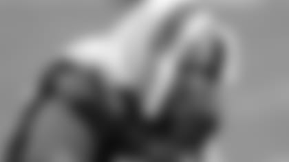 d96b15b03a664c2f95b57b7d236eed12.jpg