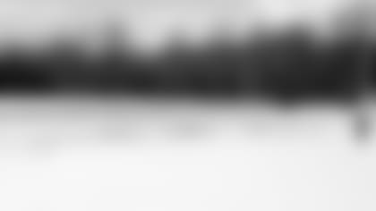 19_LFW_SnowyFields_instory.jpg