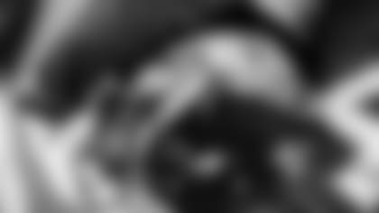 Baltimore Ravens Helmet