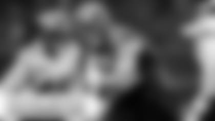 FB/DL Patrick Ricard