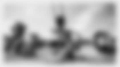 rookie_minicamp_brush-centerpiece