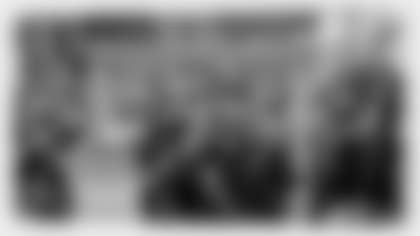 big_dig_brush-centerpiece copy