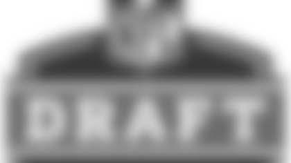 draft_2010_webpremium.jpg