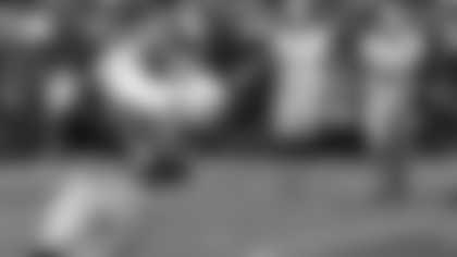 Hankerson_Browns.jpg