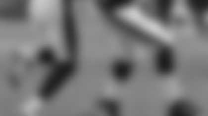 91363.jpg