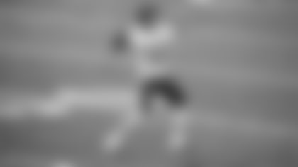 Quarterback Alex Smith prepares to throw during the Washington Football Team's game against the Detroit Lions on Nov. 15, 2020. (Zack Silver/NFL)