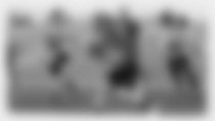 onovahb1-centerpiece