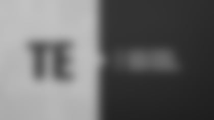 2020Roster_PositionGraphics_TE_2560x1440