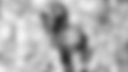022117_pierre_garcon_wr_outlook_615.jpg
