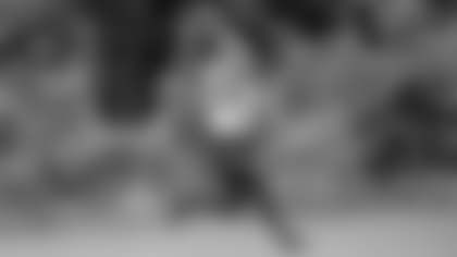 Wide receiver Terry McLaurin makes a catch in practice at the Inova Sports Performance Center on Wednesday, Sept. 9, 2020. (Elijah Walter Griffin Sr./Washington Football Team)