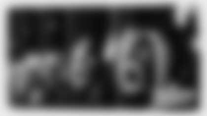 pup_list_brush-tc-centerpiece (1)