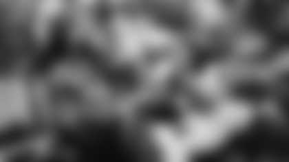 Buccaneers QB Josh Freeman sneaks for a 2-point conversion. (AP Photo)