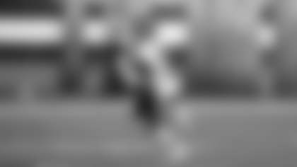 Terry McLaurin makes a catch during the Washington Football Team's game against the Cleveland Browns on Sept. 20, 2020 (Elijah Walter Griffin Sr./Washington Football Team)