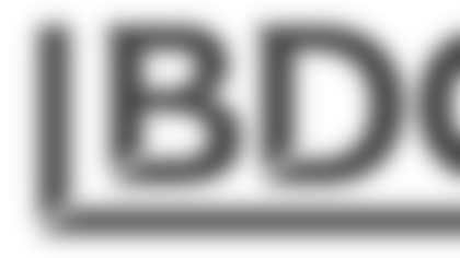 BDO_Logo_crop.jpg