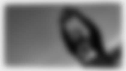 shaun-dion_brush-centerpiece