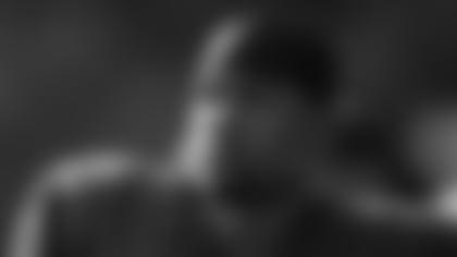 45397.jpg