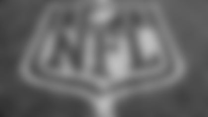 NFL logo painted on the field before an NFL football game between the Detroit Lions and the Green Bay Packers at Ford Field in Detroit, Sunday, Sept. 21, 2014. (AP Photo/Rick Osentoski)