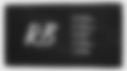 2019_roster_running_backs_brush-centerpiece