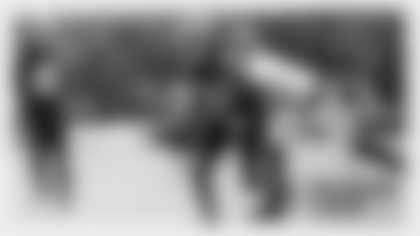 day_2_brush-tc-centerpiece (1)