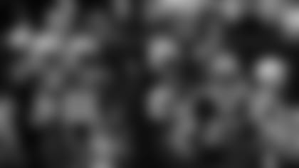 CP-WilliamsFF-2560x1440-112218