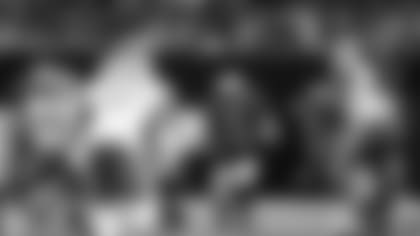 Lions-at-Saints-tickets-information-history-2023