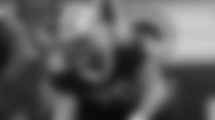 Saints 30 - Texans 28 (W) 1-0
2019 New Orleans Saints
All Images Copyright Michael C. Hebert