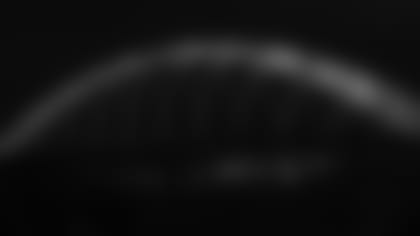 Lumen-Field_Autism-Arches