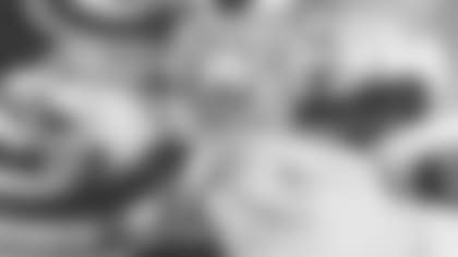 Grab and Go locations | Field, Main, and Upper Levels, Sections 111, 133, 204, 240, 315, 330 | Nutty Squirrel Gelato