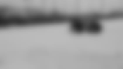 01122011_Diary_Snow_Removal2.JPG