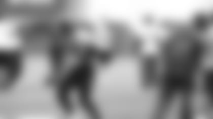 01272011_diary_Brown.jpg